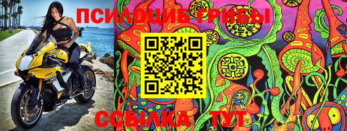 Галлюциногенные грибы Psilocybine cubensis Уварово